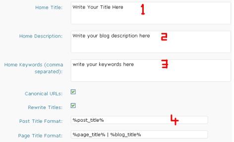 All in One SEO for Blog Optimization