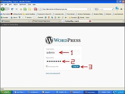 Wordpress Admin Log In