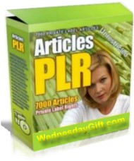 Free PLR Articles